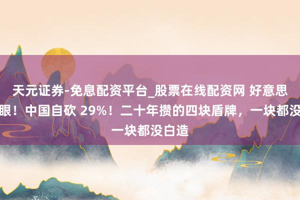 天元证券-免息配资平台_股票在线配资网 好意思国傻眼！中国自砍 29%！二十年攒的四块盾牌，一块都没白造